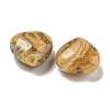 Natural Crazy Lace Agate Beads G-P531-A19-01-2