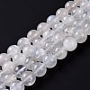 Natural Rainbow Moonstone Beads Strands G-I249-B04-05-2