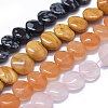 Natural Gemstone Beads Strands G-K293-E-E-1