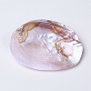 Natural Freshwater Pearl Shell Decoration SHEL-K002-01A-3