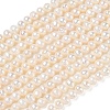 Natural Cultured Freshwater Pearl Beads Strands PA-CBAC463-08-2