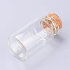 Glass Bottles X-AJEW-H102-06B-2
