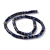 Natural Sodalite Beads Strands G-C240-04A-3