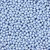 6/0 Glass Seed Beads SEED-L011-08A-23-3