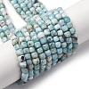 Natural Larimar Beads Strands G-F803-C01-03-2