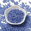 Transparent Colours Glass Seed Beads SEED-F006-03A-09-2
