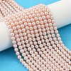 Preciosa® MAXIMA Crystal Nacre Pearls X-PRC-NPA12-77800-1