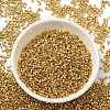 Electroplate Glass Seed Beads SEED-S042-01B-12-2
