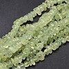 Natural Prehnite Chip Beads Strands G-E271-99-1