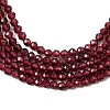 Natural Garnet Beads Strands X-G-J002-20-4