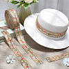 Polyester Embroidery Paillette Ribbon OCOR-WH20003-39C-3
