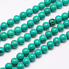 Natural Magnesite Beads Strand X-TURQ-G096-10mm-1