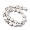 Natural Howlite Beads Strands G-C159-A01-01-3