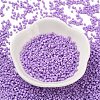 Baking Paint Glass Seed Beads SEED-S042-05B-71-2