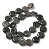 Natural Silver Sheen Obsidian Beads Strands G-L648-B23-15mm-02-4