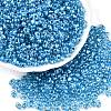 Baking Paint Transparent Glass Seed Beads SEED-N006-05L-1