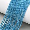 Natural Apatite Beads Strands G-Z160-A01-2mm-1