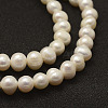 Natural Cultured Freshwater Pearl Beads Strands X-PEAR-F005-06-3