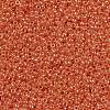 MIYUKI Round Rocailles Beads SEED-X0056-RR0424-2