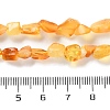 Natural Amber Beads Strands G-P497-01C-04-5