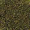 TOHO Round Seed Beads SEED-JPTR08-0996-2