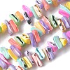 Dyed Natural Trochus Shell Beads Strands SSHEL-C013-09G-1