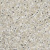 8/0 Glass Seed Beads SEED-US0003-3mm-21-2