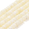 Natural Trochus Shell Beads Strands SHEL-P017-06-1