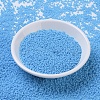 MIYUKI Round Rocailles Beads SEED-G007-RR0413-2