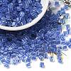 Glass Seed Beads SEED-H002-F-1114-1