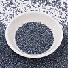 MIYUKI Delica Beads SEED-X0054-DB0086-2