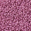 MIYUKI Round Rocailles Beads SEED-G007-RR0645-3