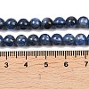 Natural Kyanite/Cyanite/Disthene Round Bead Strands G-L411-20-6mm-5