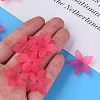 Transparent Acrylic Beads X1-MACR-S373-127-D-3