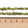 Natural Peridot Beads Strands X-G-P332-48-02-4