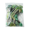 12 Skeins 6 Colors 6-Ply Polyester Embroidery Floss OCOR-FS0001-01B-04-6