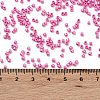 Baking Paint Glass Seed Beads X-SEED-S042-15B-27-4