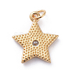 Cubic Zirconia Charms KK-G363-01G-3