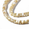 Natural Trochid Shell/Trochus Shell Beads Strands SSHEL-S266-019B-01-3