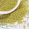 MIYUKI Delica Beads X-SEED-J020-DB0412-1