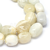 Natural White Moonstone Beads Strands G-O173-085-3