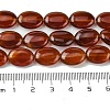 Natural Carnelian(Dyed & Heated) Beads Strands G-K365-B01-01-5