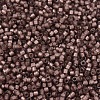MIYUKI Delica Beads X-SEED-J020-DB2183-3