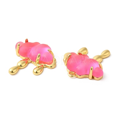 Translucent Resin Pendants KK-C023-04-1