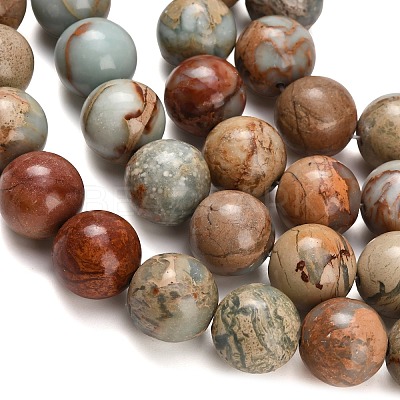 Natural Aqua Terra Jasper Beads Strands G-Z110-C01-14mm-1