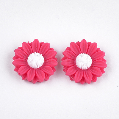 Resin Cabochons CRES-T010-60C-1