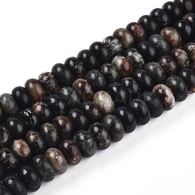 Natural Biotite Beads Strands G-T140-69A-1