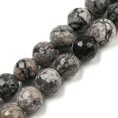 Natural Map Stone/Picasso Stone/Picasso Jasper Beads Strands G-C079-B05-02-1