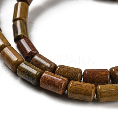 Natural Petrified Wood Beads Strands G-M420-E06-03-1