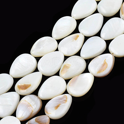 Natural White Shell Beads Strands X-PBB263Y-1-1